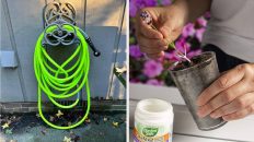25 Gardening Products That Have Rave Reviews For A Reason